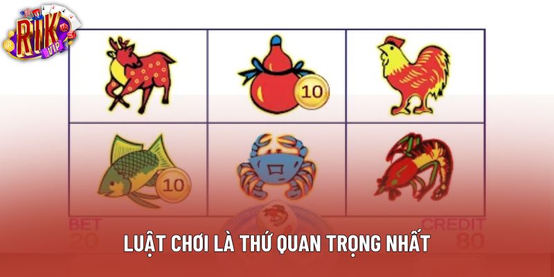 Luật chơi là thứ quan trọng nhất Luật chơi là thứ quan trọng nhất