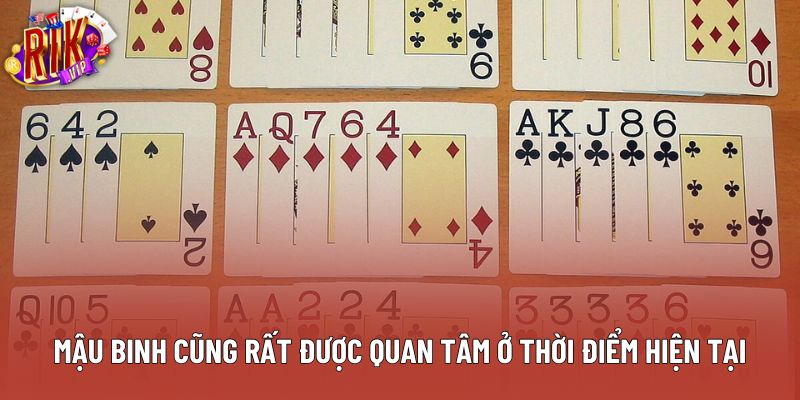 Mậu binh cũng rất được quan tâm ở thời điểm hiện tại Mậu binh cũng rất được quan tâm ở thời điểm hiện tại